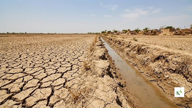 A dry field with cracked soil